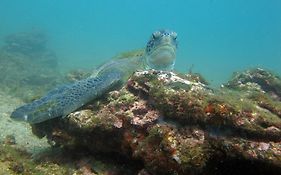 Apto Praia Mariscal Canto Grande Bombinhas